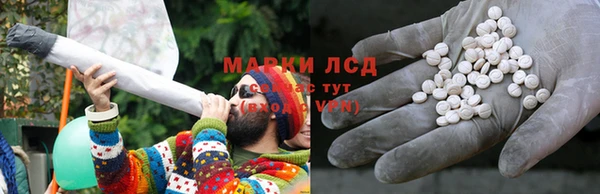 стаф Каменногорск