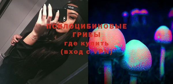 гидропоника Карпинск
