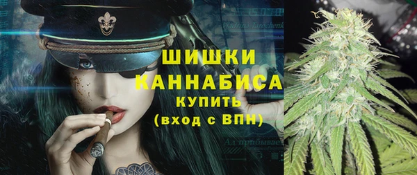 стаф Каменногорск