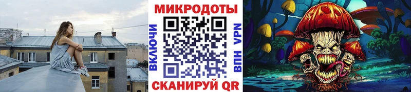 Псилоцибиновые грибы Psilocybe  Купить закладки  Рыбное 